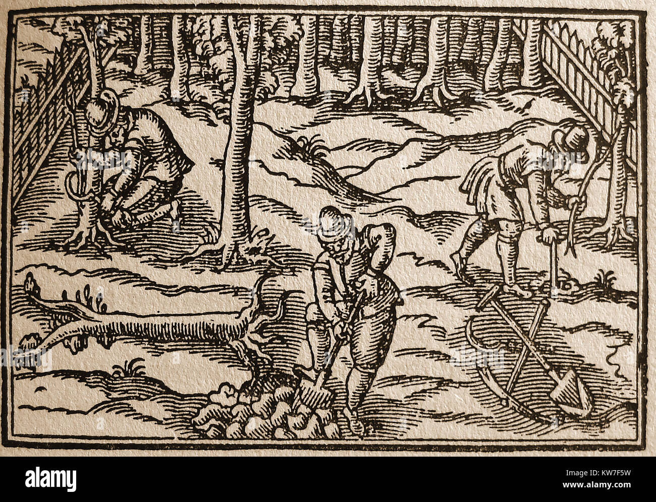 Medieval gardeners working  in an orchard  illustrating working tools - From a 17th century woodcut print Stock Photo