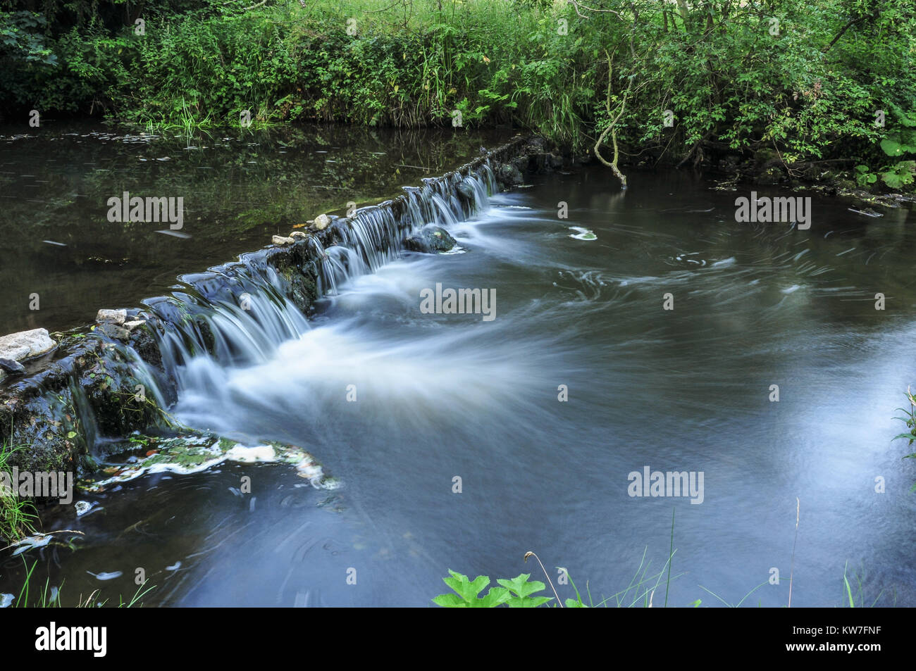 The River Dove flowing over a small weir in the secluded woodland valley of Beresford Dale in the Peak District national park, England, UK Stock Photo