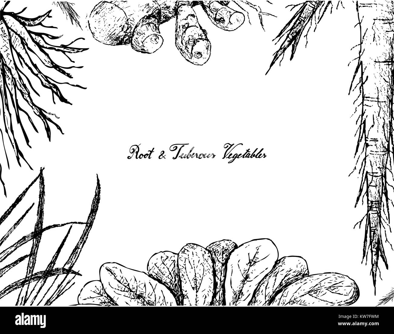 Root and Tuberous Vegetables, Illustration Frame of Hand Drawn Sketch of Turmeric, Skirret, Salsify Plants on White Background. Stock Vector