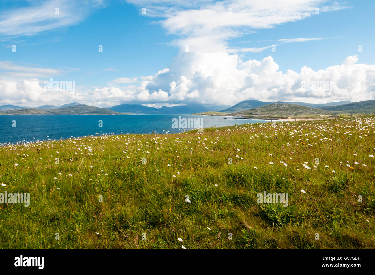 North Harris seen over flowers on machair in South Harris, Outer Hebrides. Stock Photo