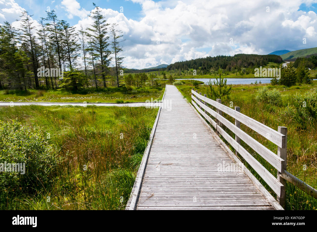 A boardwalk at the Aline Community Woodland on the Isle of Lewis in the Outer Hebrides. Stock Photo