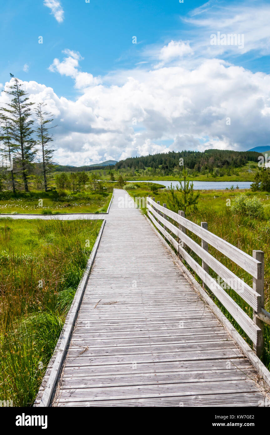 A boardwalk at the Aline Community Woodland on the Isle of Lewis in the Outer Hebrides. Stock Photo