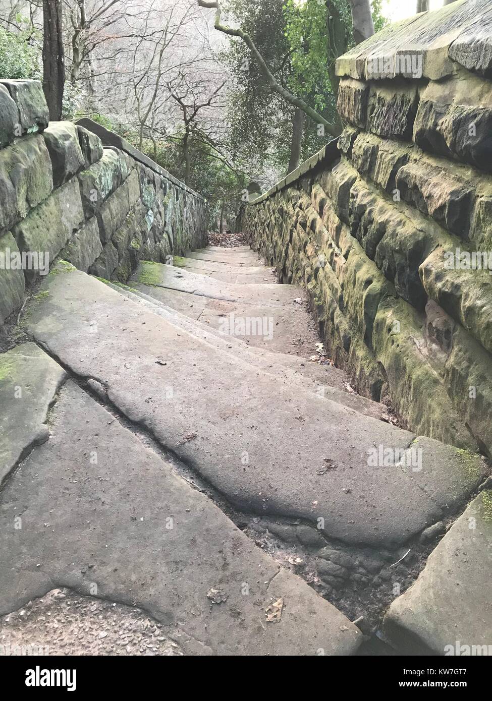Steps in Delamere, Cheshire Stock Photo