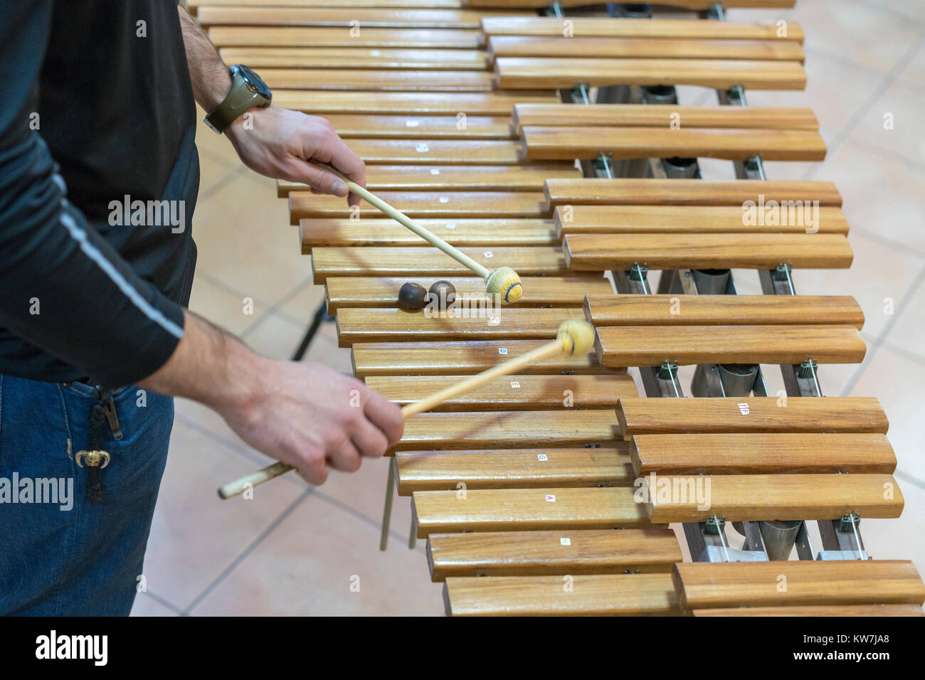 Mallet instrument with wooden bars deals
