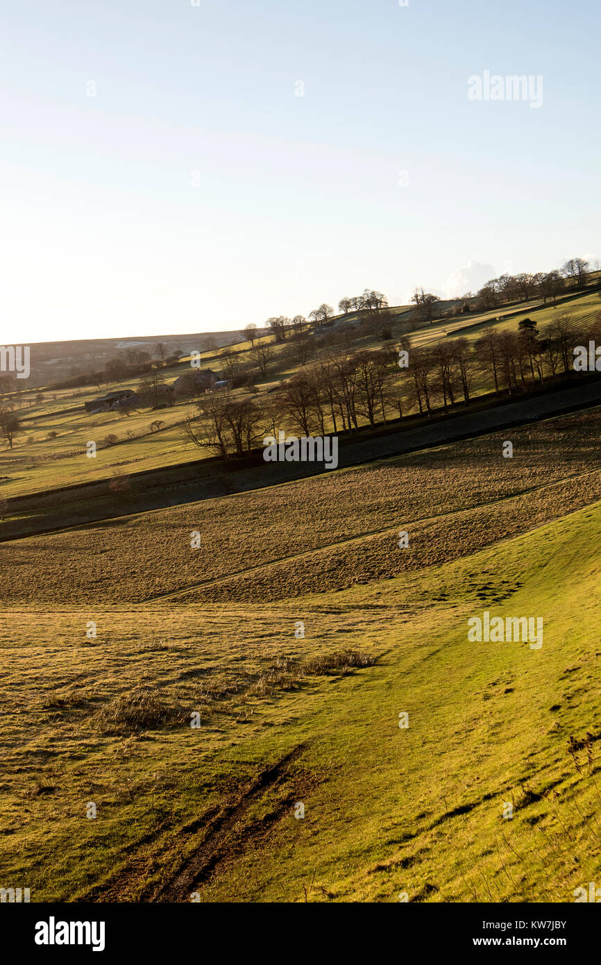 Winter light at the southern end of Swinsty Reservoir in the Washburn Valley in North Yorkshire, UK Stock Photo