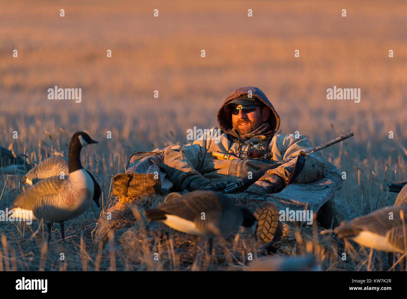 Goose duck hunting hi res stock photography and images Page 9 Alamy