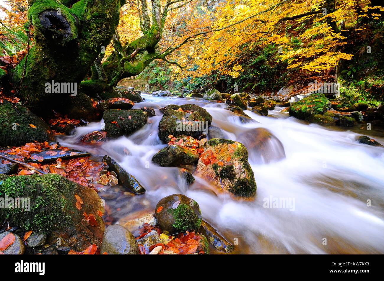 Autumnal riverscape in motion Stock Photo