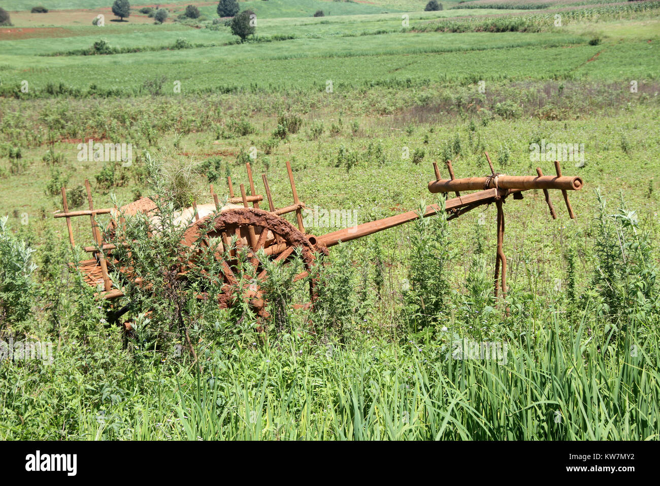 Dirty wooden cart on the green field in Shan state, Myanmar Stock Photo