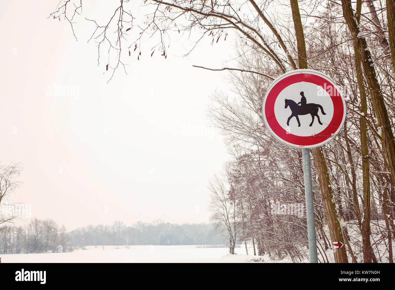 Road sign - disabled entry with a horse Stock Photo - Alamy
