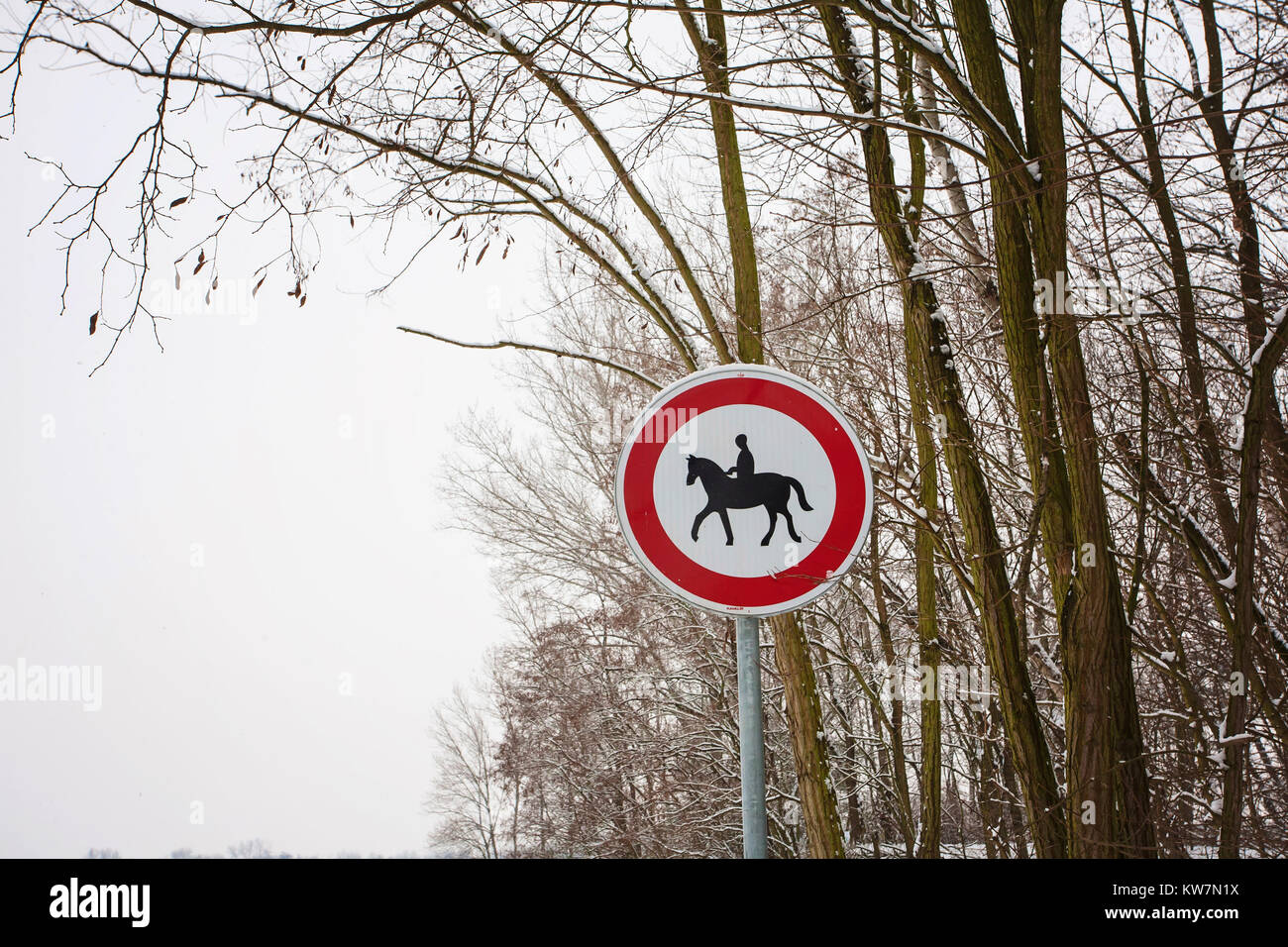 Road sign - disabled entry with a horse Stock Photo - Alamy