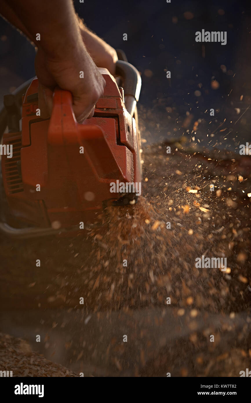 A man cutting tree with chainsaw Stock Photo - Alamy