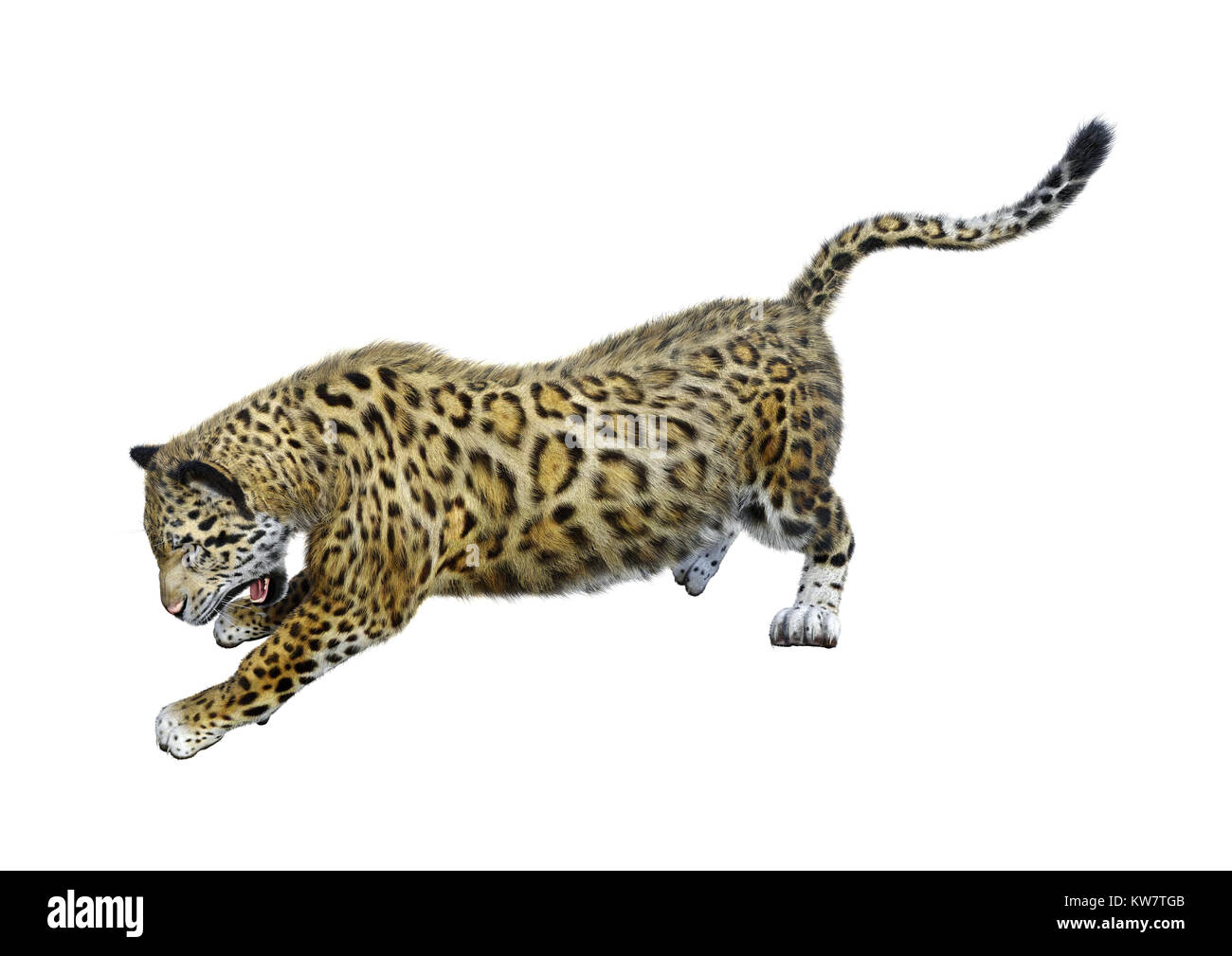 Jaguar Animal Jumping