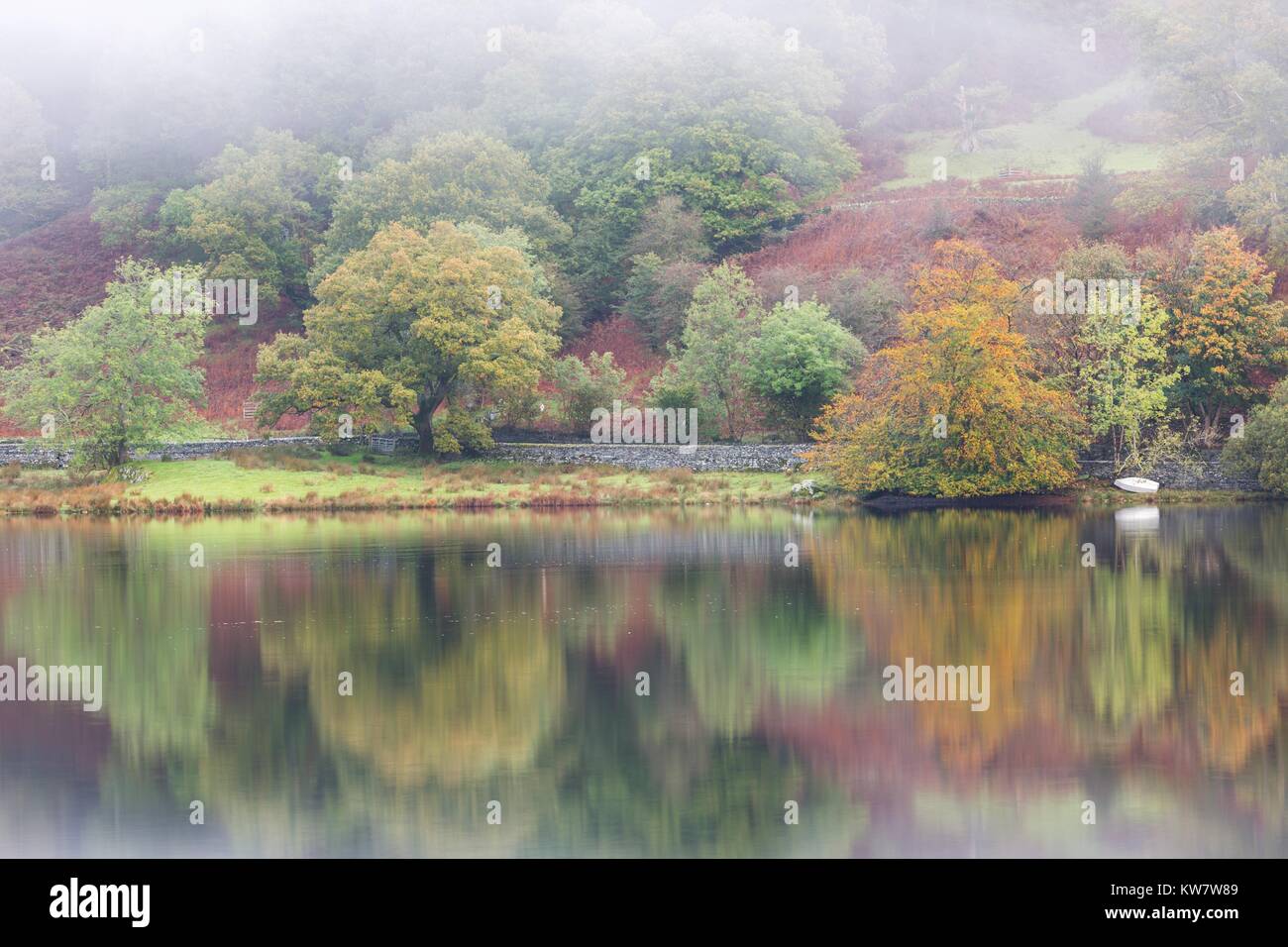 Autumnal colours on Rydal water Cumbria Stock Photo