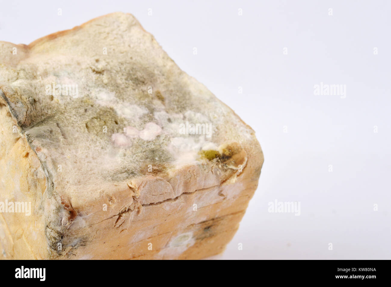 stale white bread on white background Stock Photo - Alamy