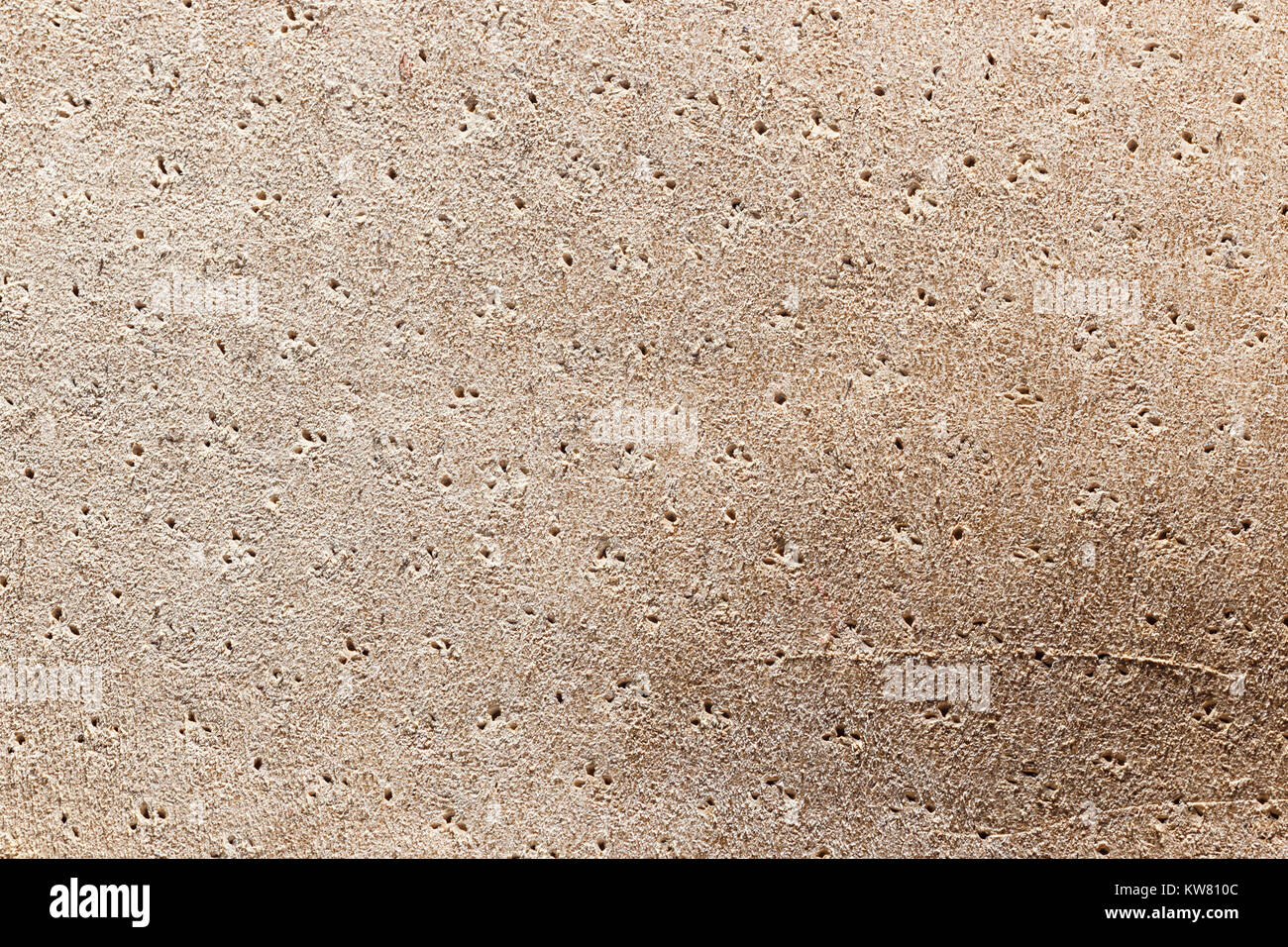 Chamois leather texture can use as natural background Stock Photo