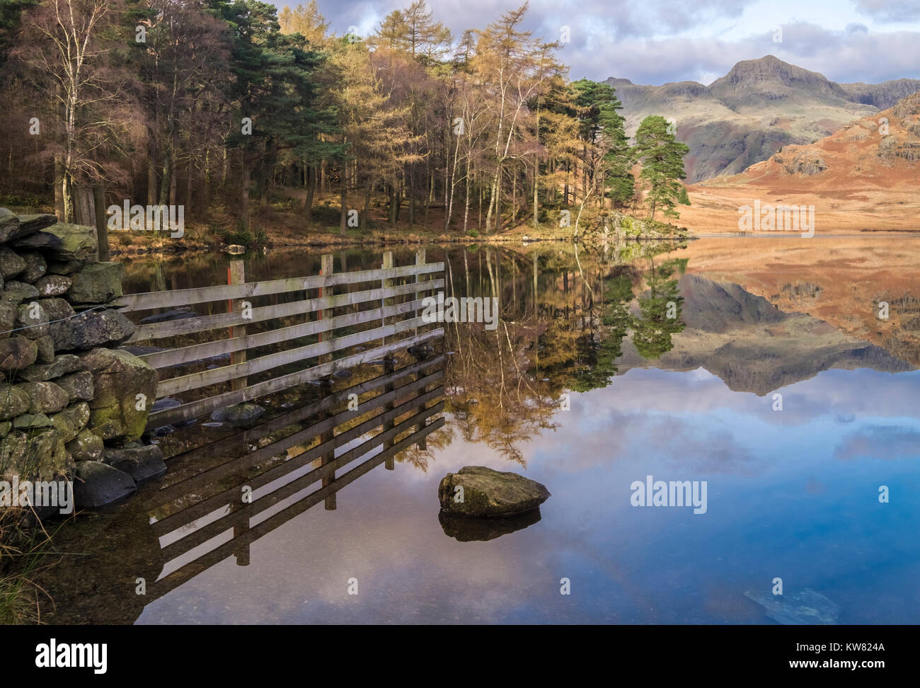 Blea Tarn during autumn, with Langdale Pikes in the background, Little Langdale, Lake District National Park, Cumbria, England, UK Stock Photo