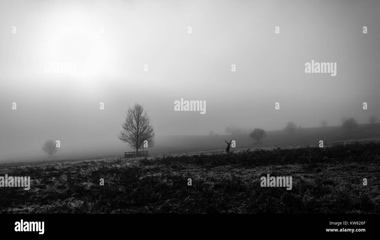 Foggy day Black and White Stock Photos & Images - Alamy