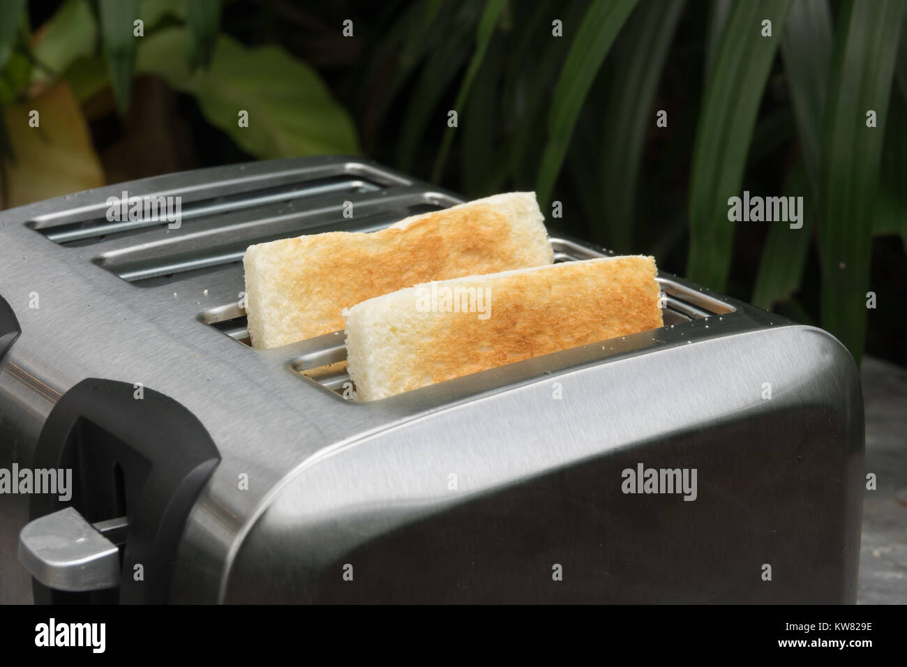 A couple of crusty toasts in the toaster, close-up Stock Photo - Alamy