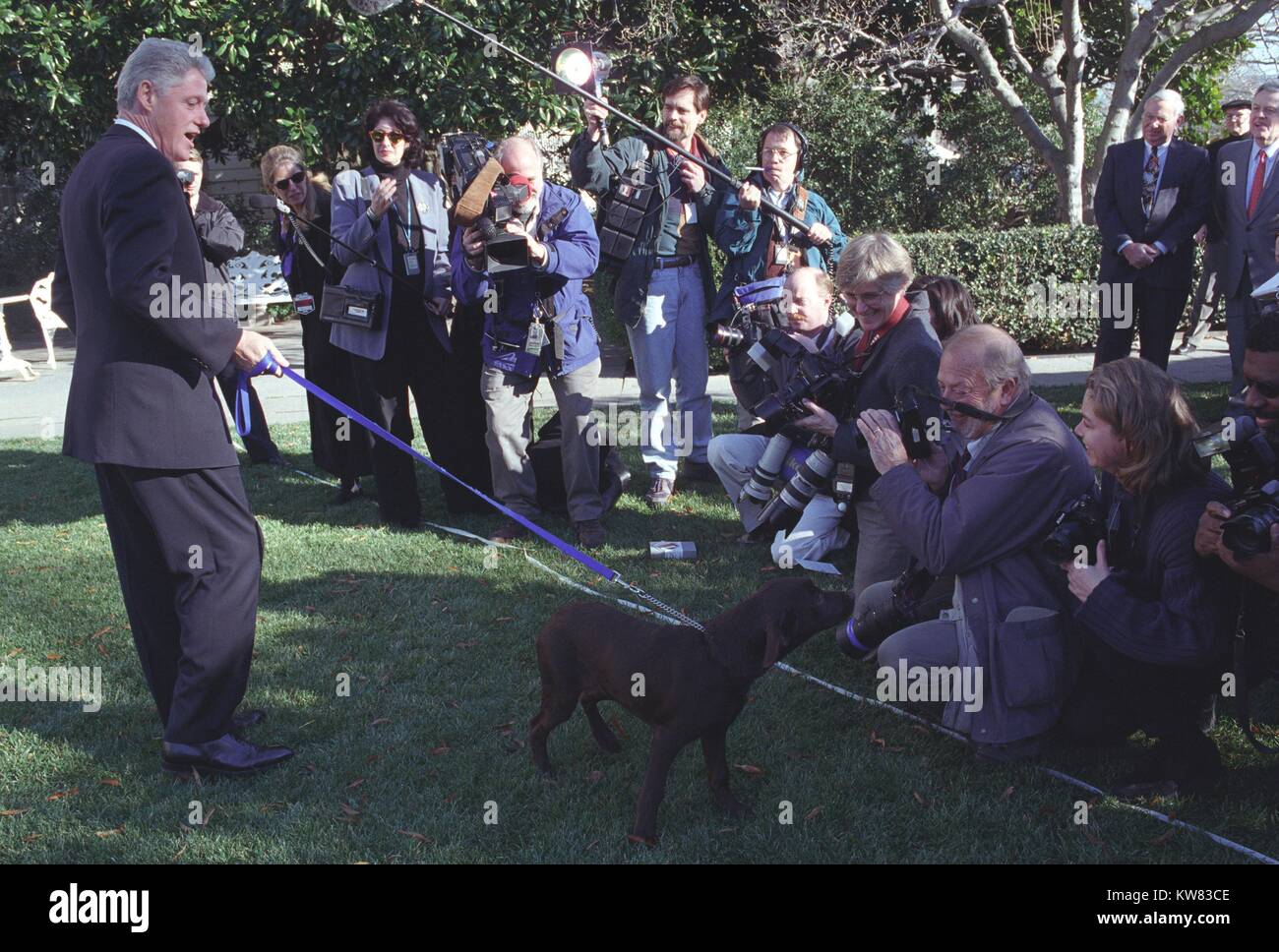 President Bill Clinton, wearing suit, stands addressing the press, crouched in a crowd in front of him flashing cameras and holding microphones, as he introduces the new First Pet, Buddy the dog, a brown labrador connected by a blue leash, sniffing one of the reporters in the grass on the White House lawn, Washington, District of Columbia, December 16, 1997. Stock Photo