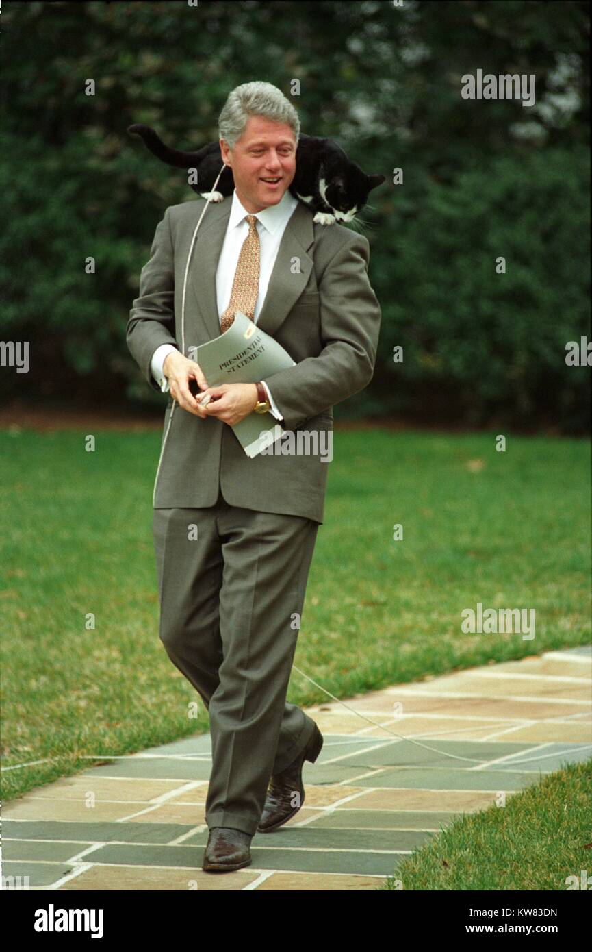 A smiling President William Jefferson Clinton wearing taupe suit walks down a stone pathway on the White House grounds with Socks the Cat, with black fur, white face, and long string leash dangling, perched upon his shoulders, holding a packet labeled 'Presidential Statement, ' Washington, District of Columbia, March 7, 1995. Stock Photo
