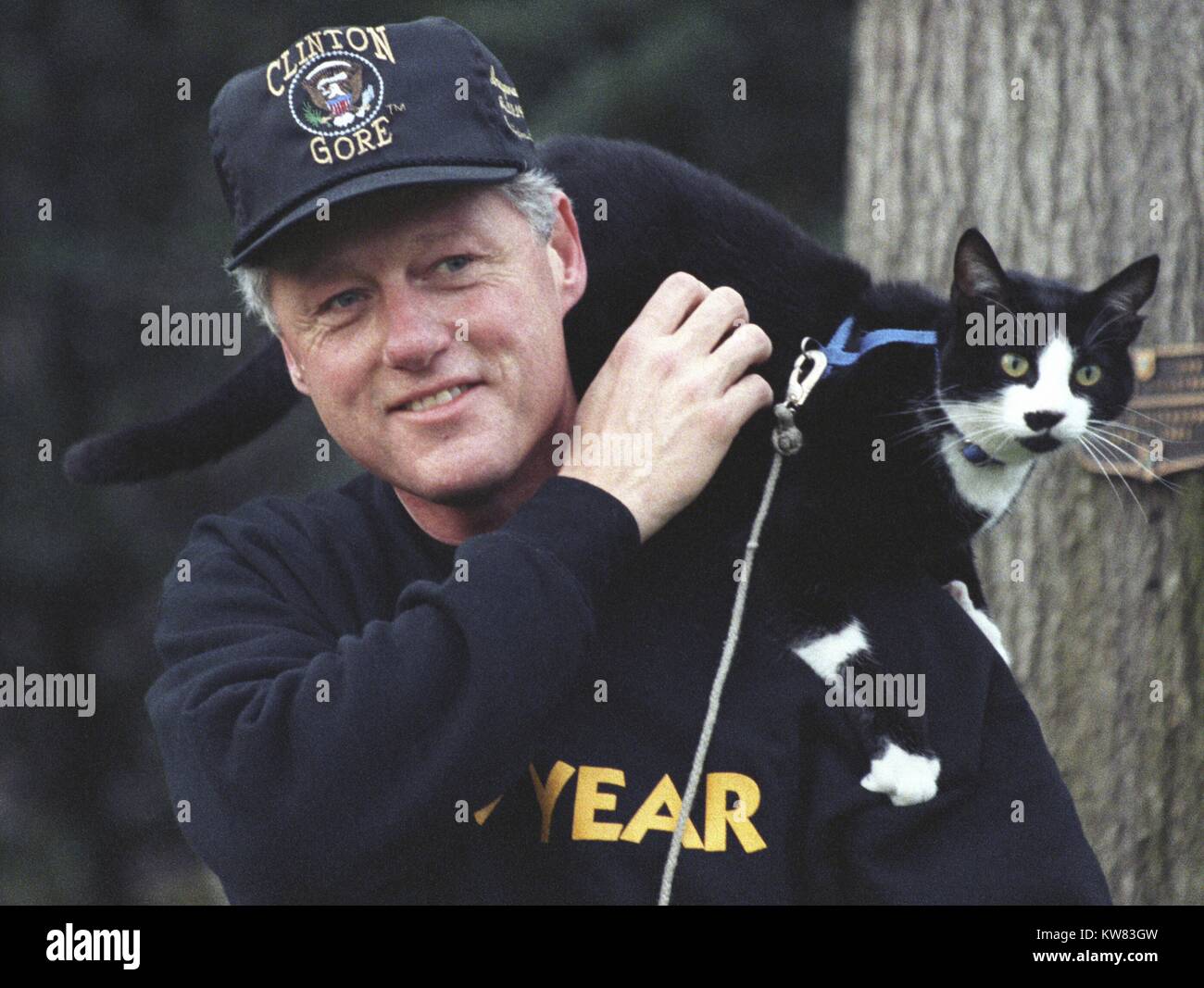 President Bill Clinton, wearing pullover sweatshirt and a Clinton-Gore administration baseball hat, smiles while taking a walk on the White House grounds with the First Pet, Socks the Cat, with black fur, white face, and blue collar, perched on his shoulders, with a plaque mounted to a tree behind them, Washington, District of Columbia, December 20, 1993. Stock Photo