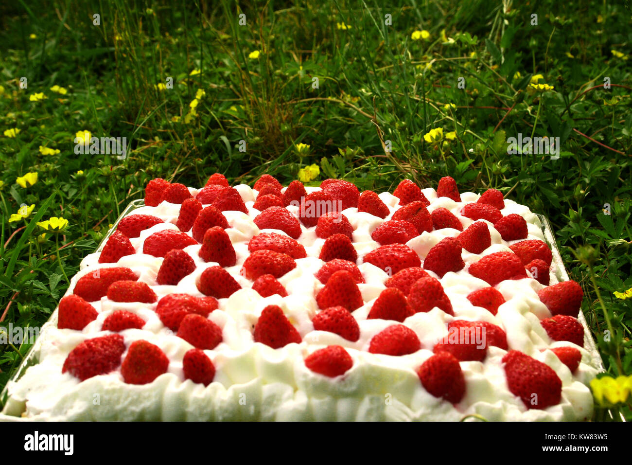 Strawberry and cream cake Stock Photo - Alamy