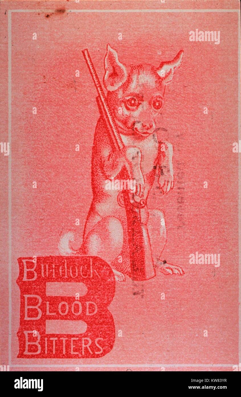 Advertisement for Burdock Blood Bitters, intended to remedy ailments of