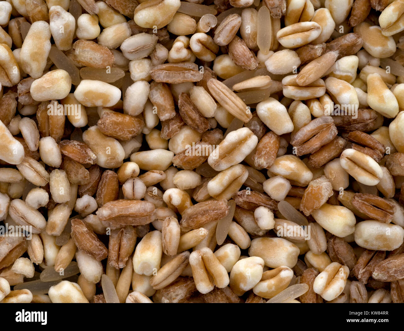 Healthy food option. Multigrain. Closeup detail. Barley, wheat, spelt, oats and rice. Stock Photo
