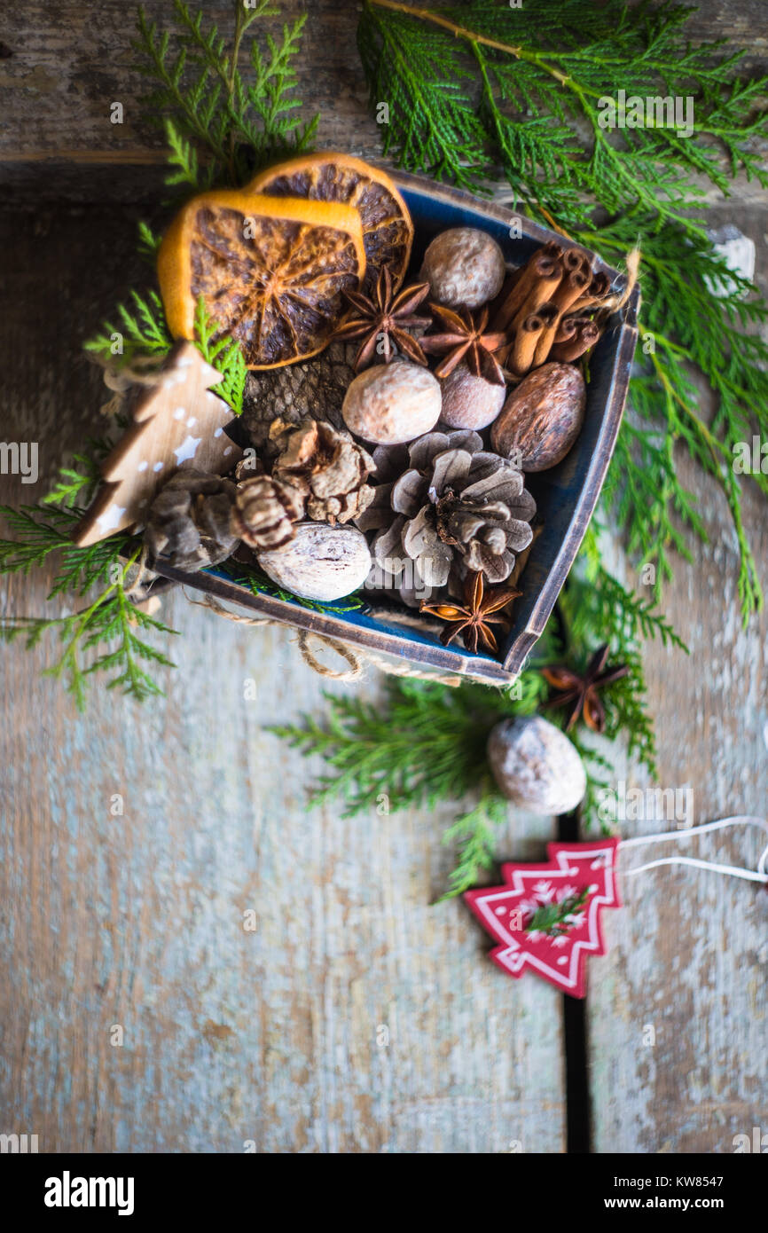 Christmas frame with fir tree branch, red berries and nuts and spices ...