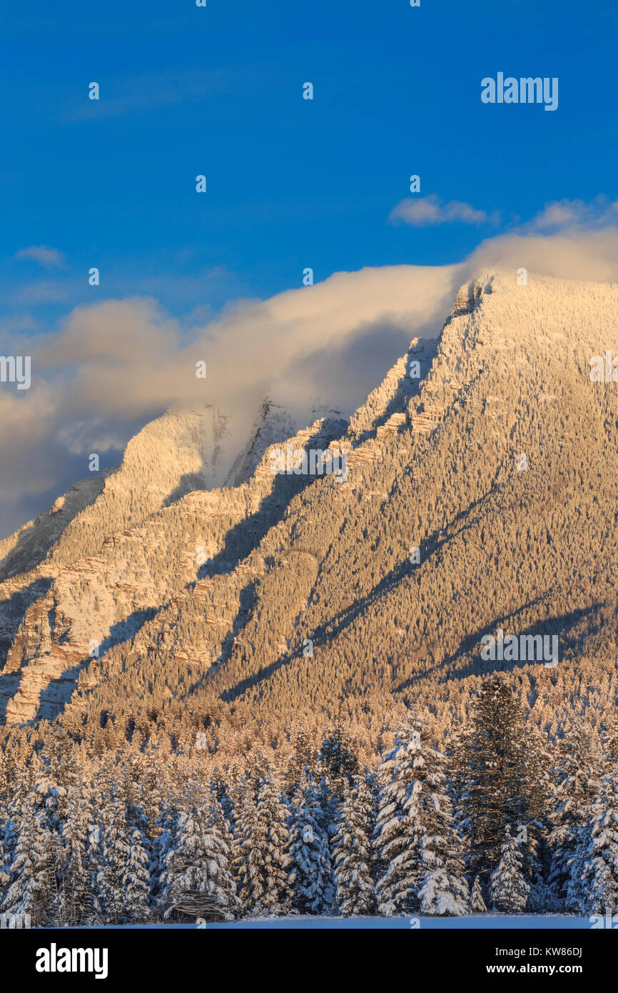 St ignatius mission hires stock photography and images Alamy