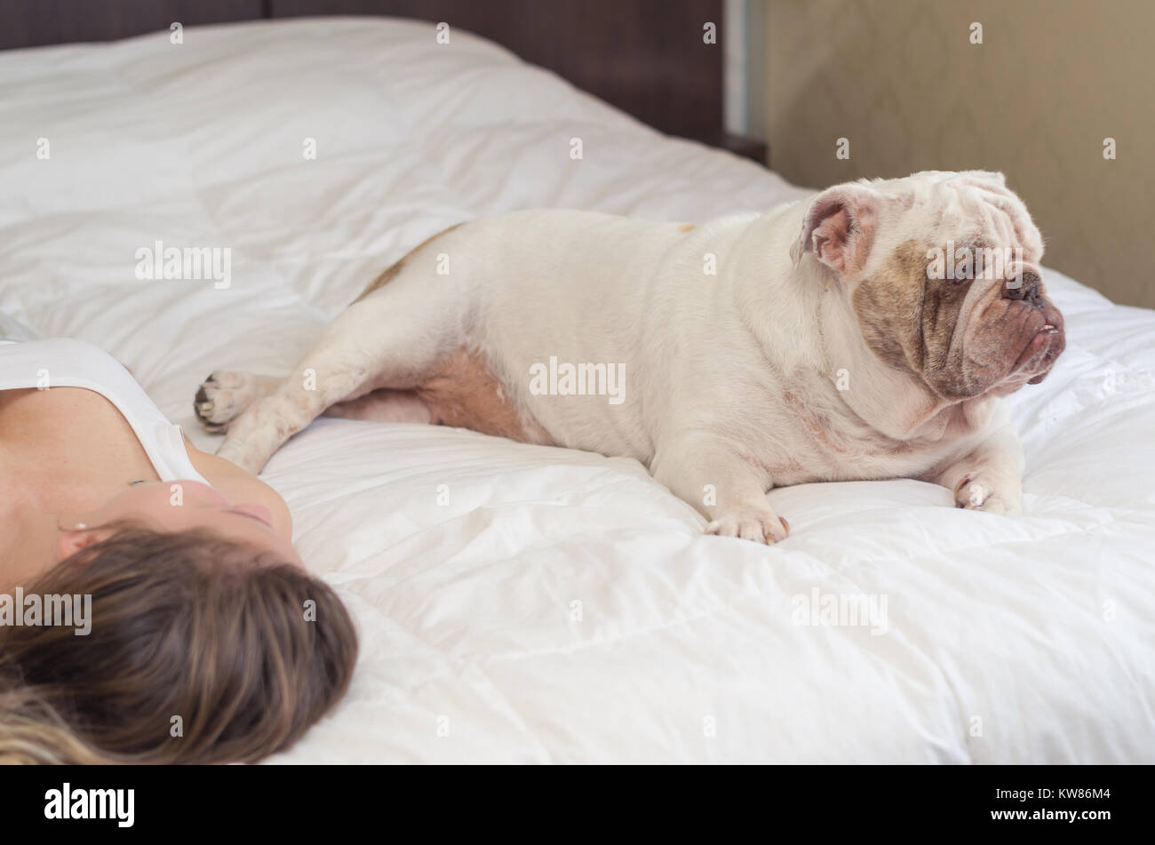 Woman sleeping in bed puppy hi-res stock photography and images - Alamy