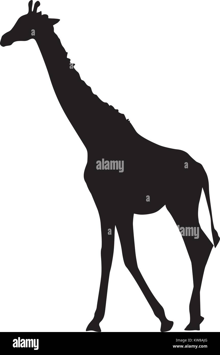 Giraffe Profile Silhouette Head