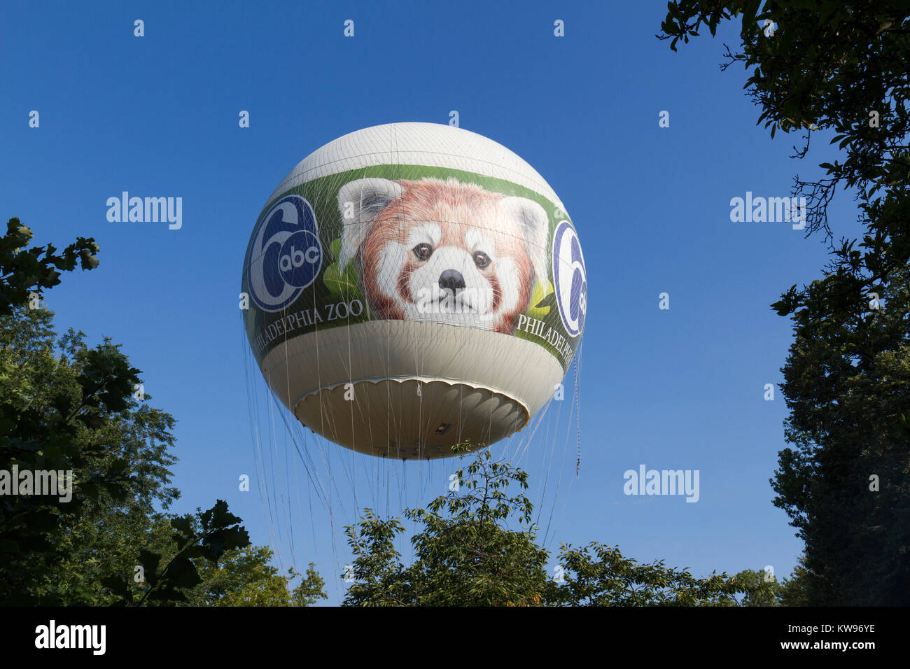 The 6abc Zooballoon A Popular Tourist Attraction Rising Over The Philadelphia Zoo Philadelphia Pennsylvania United States Stock Photo Alamy