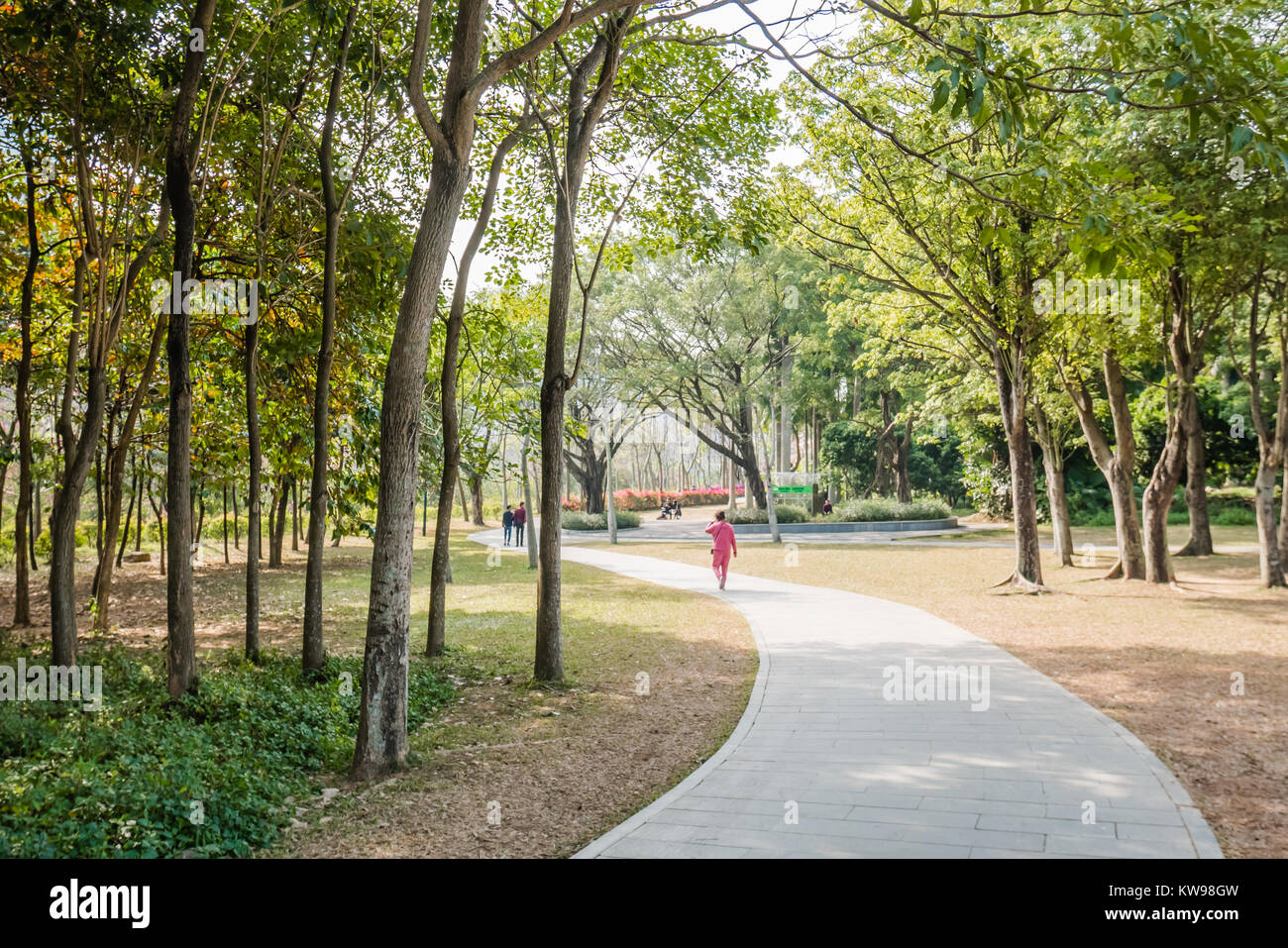 Shenzhen Lianhuashan Park Stock Photo