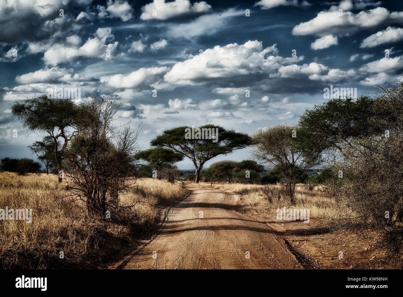 typical landscape in Tarangire National Park, Tanzania, Africa Stock Photo