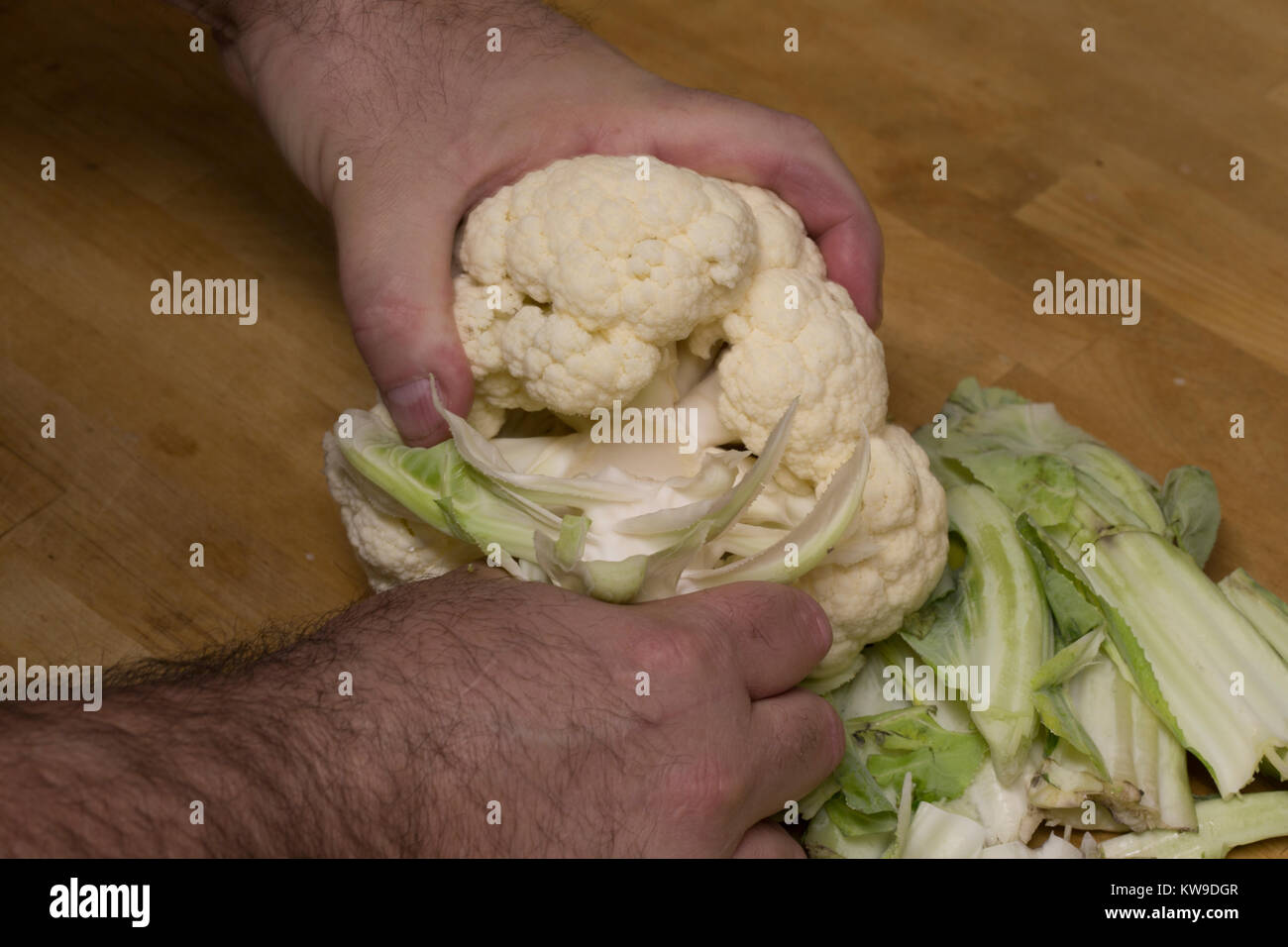 Preparing a cauliflower for cooking cauliflower gratin Stock Photo