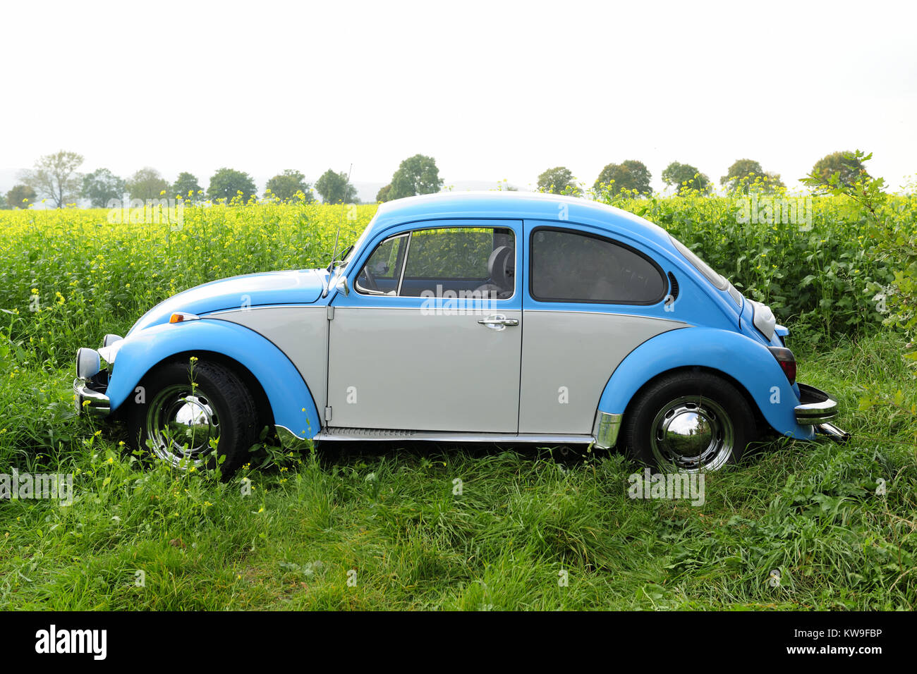 Volkswagen Beetle. car auto classic,VW Beetle 1300, Volkswagen Beetle Engine,vinitage VW Beetle, vinitage car,photo Kazimierz Jurewicz, Stock Photo