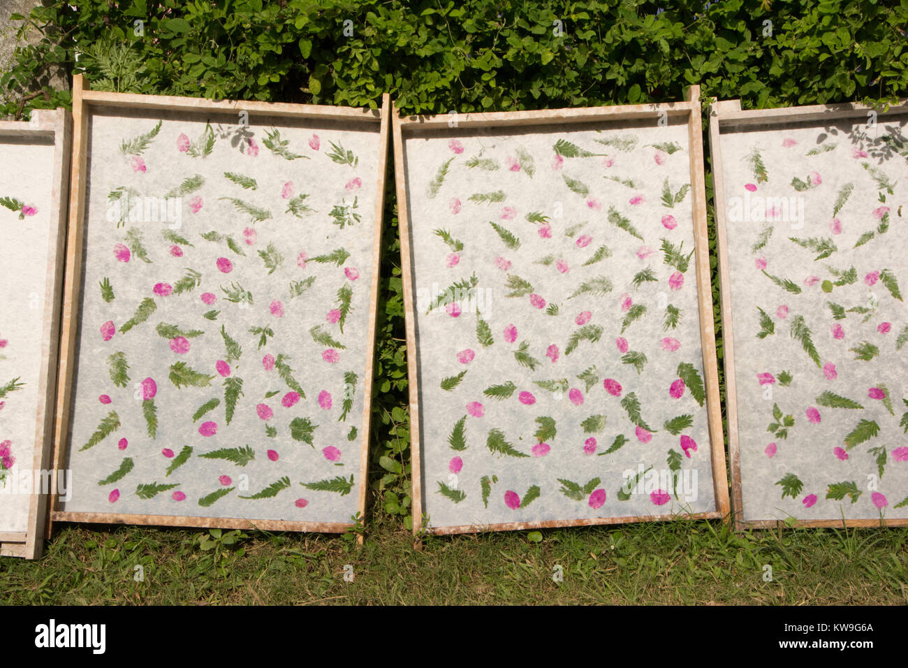 Handmade Sasa Paper drying in the sun, Luang Prabang, Laos Stock Photo