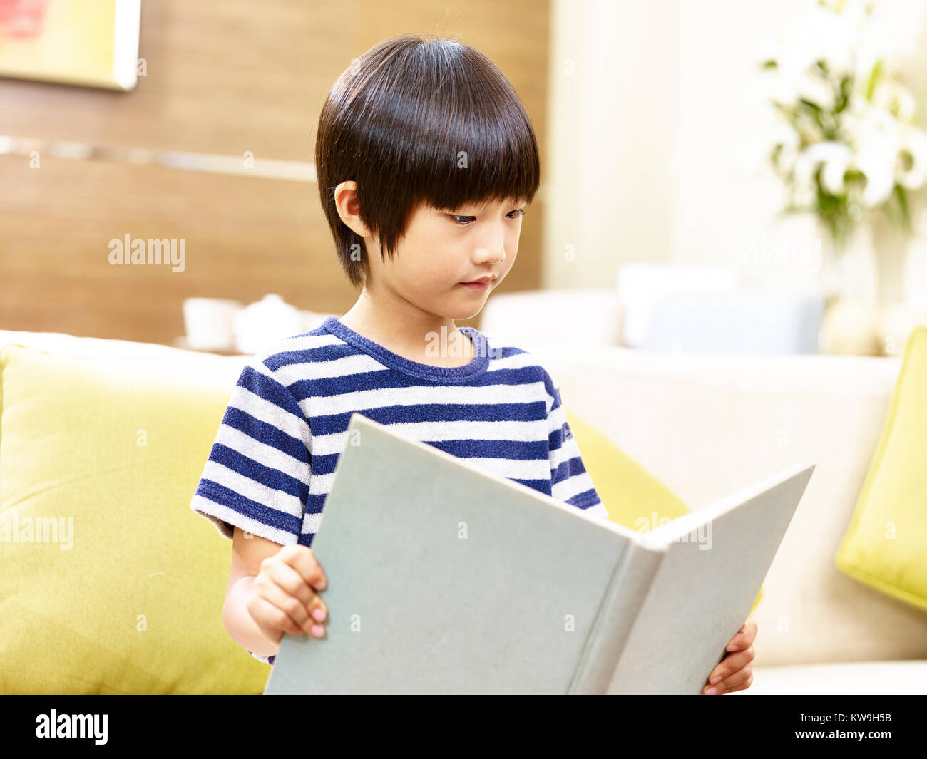 Forex asian market Tiny asian boys