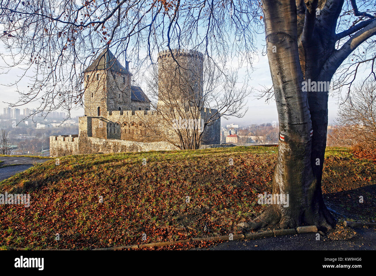 Poland, castle in Bedzin Stock Photo