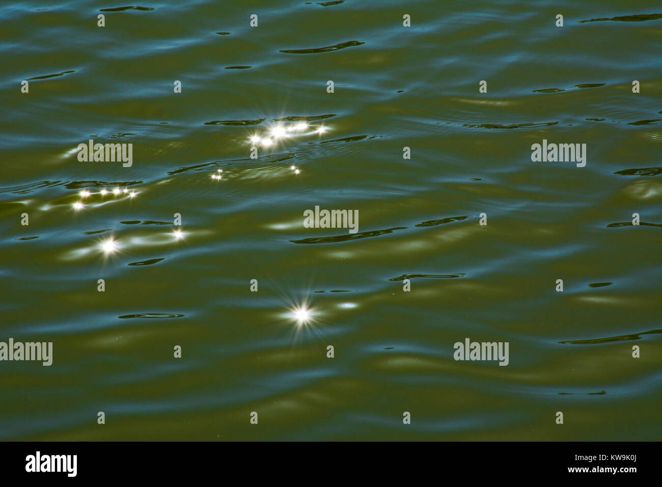 Sun rays reflecting star effect in water surface Stock Photo