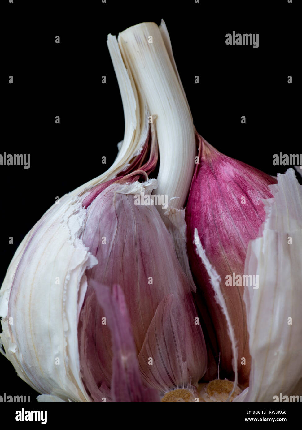 Garlic cloves on a black background Stock Photo - Alamy