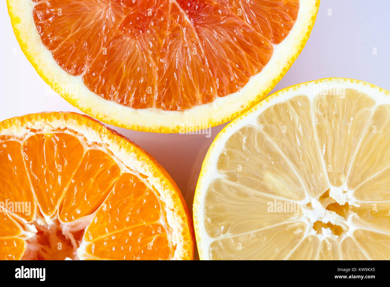 Close up of various citrus fruit on white background Stock Photo
