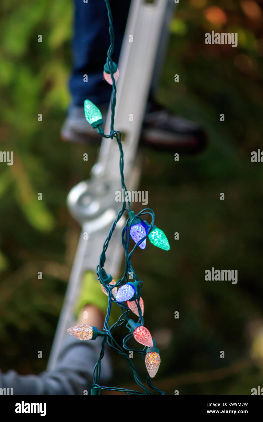 Hand On Ladder feet of man on ladder decorating hands hold ladder Stock Photo - Alamy