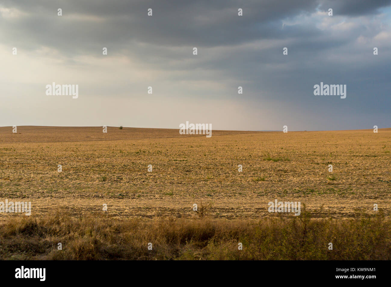 A view over a harvested grainfield with stormy clouds in the Bulgarian countryside Stock Photo