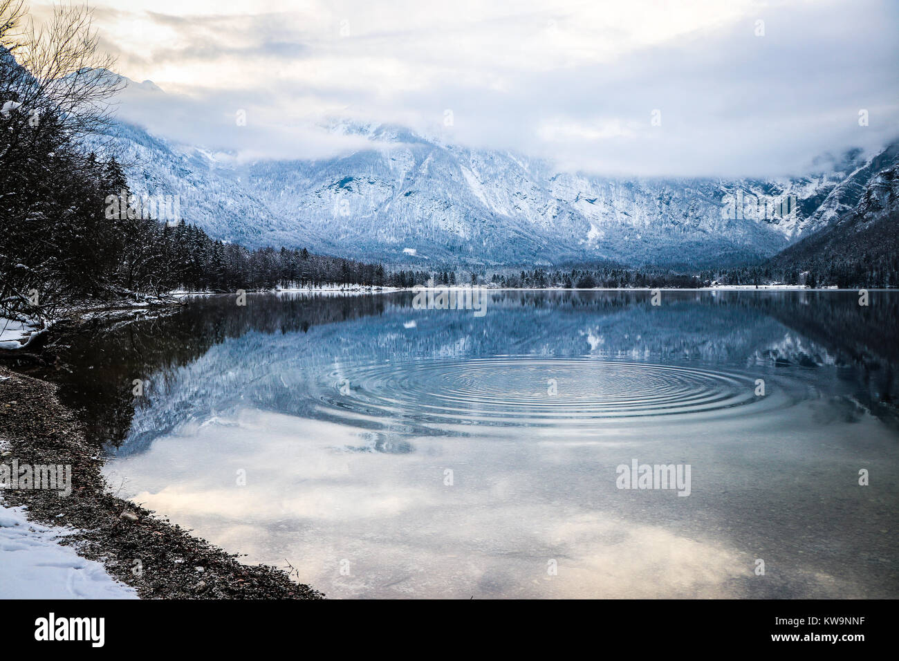 The stunning serenity of Lake Bohinj, Slovenia, is captured in this wonderful image, perfect to adorn the front of a Christmas card or postcard. Stock Photo