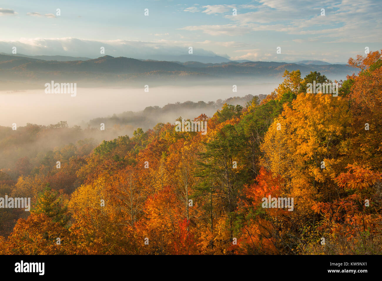 Autumn Colors, Great Smoky Mountains, Tennessee, USA by Bill Lea/Dembinsky Photo Assoc Stock Photo