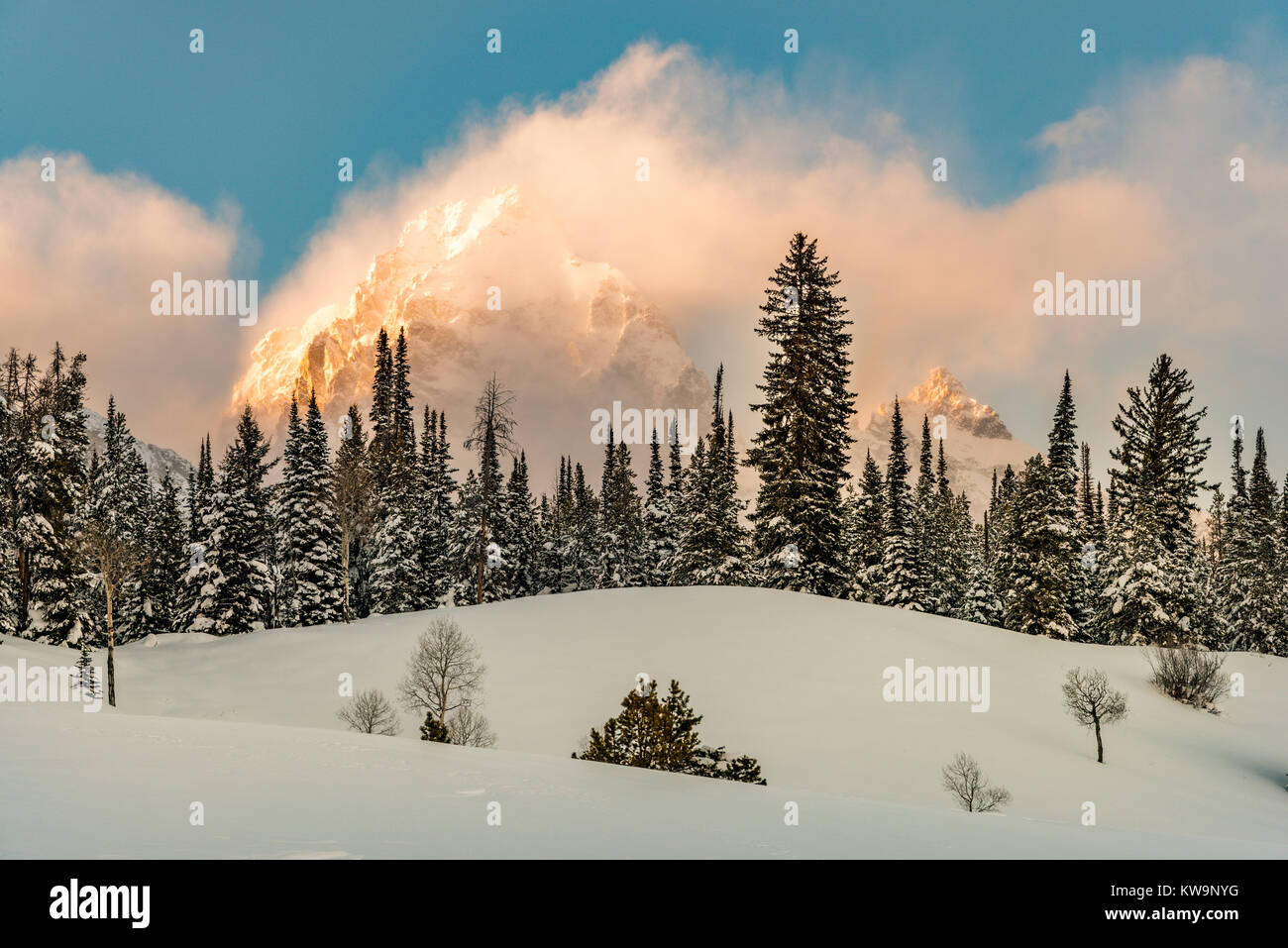 Winter scene, Grand Teton National Park, WY, USA, Winter, by Bill Lea/Dembinsky Photo Assoc Stock Photo