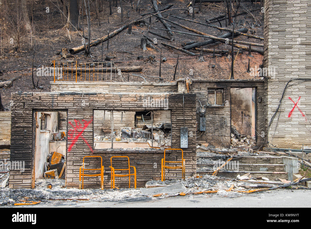 Aftermath of forest fires, November, 2016, Gatlinburg, Tennessee, USA, by Bill Lea/Dembinsky Photo Assoc Stock Photo