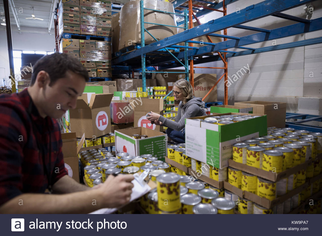 Male volunteer taking canned food drive inventory in warehouse Stock